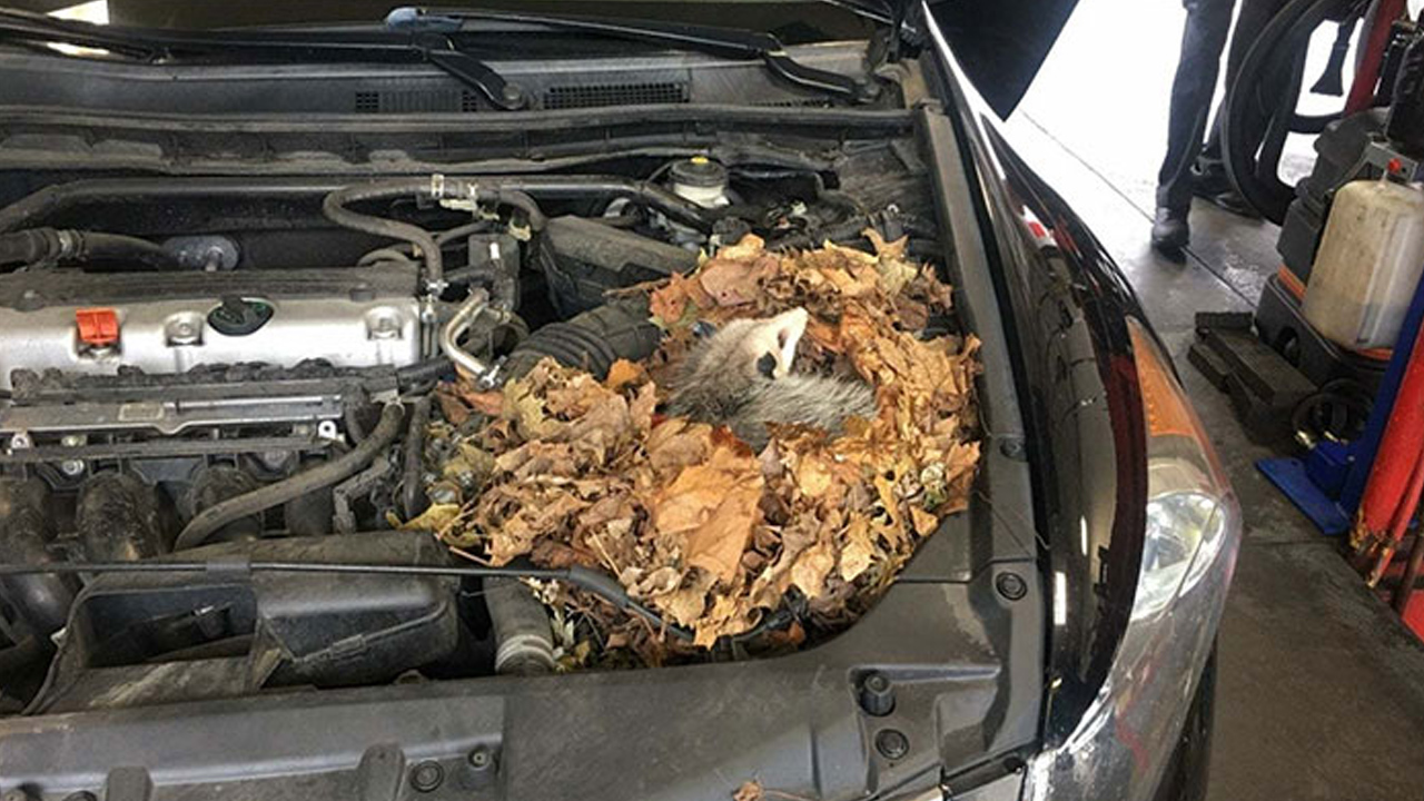 Customer's tire refused to balance. Turns out he put an entire can